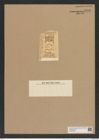 Hemiaulus punctatus Grev. (de-Toni-Nr.: Genus 117, Species 3387) Zeichnungen Sammlung Grunow Nr. 6806 (NHMW-BOT-W0375649)